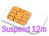 SIM Suspend12m