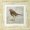 Irish Garden Birds Robin 9"x 9", available in 4 frame colours.