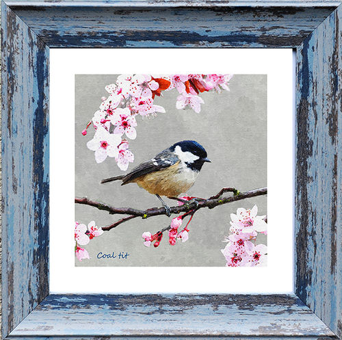Coal Tit 9" x 9" Blue, available in 3 other frame colours.